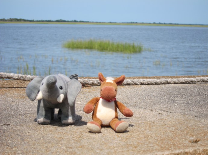 In front of the water