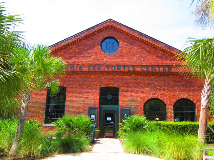 GA Sea Turtle Center