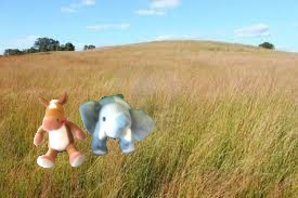 e e grasslands