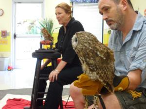 Educating students about owls! 