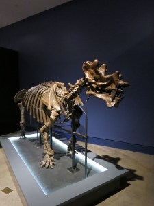 Least likely to find a hat that fits! 