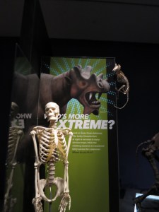 Are you an extreme mammal? 