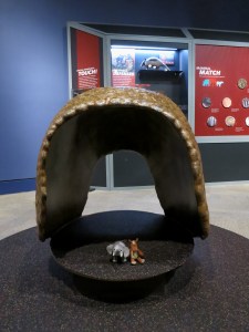 Best Armor goes to the mammal who wore this- the Glyptodont! 