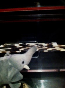 Ellie touching porcupine quills! Watch our for the ends!