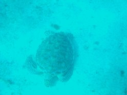 ???????????????????????????????