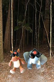 e & e night rainforest