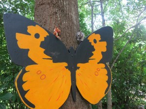 We found a giant butterfly! 