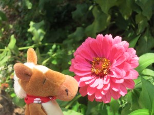 Edmond had to stop and smell the flowers! 