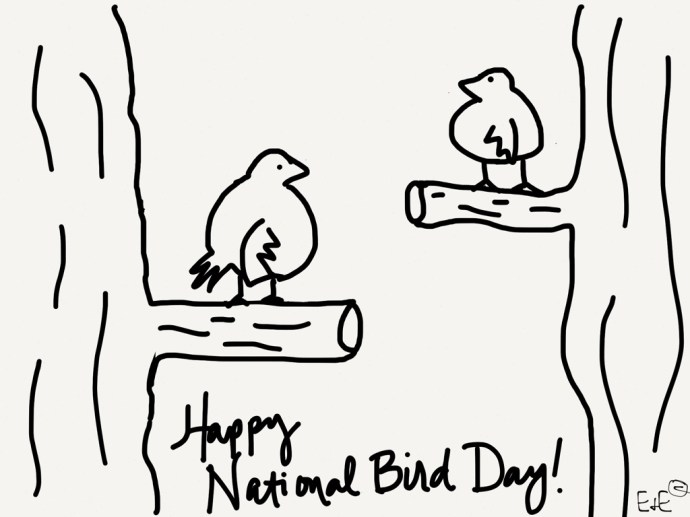 bird day coloring sheet