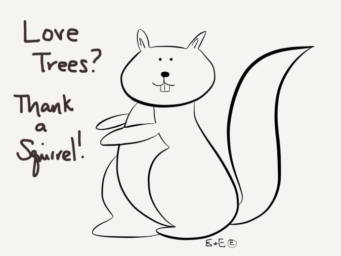 squirrel coloring sheet