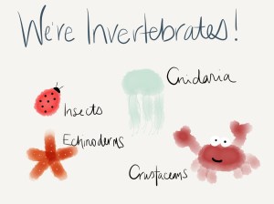 invertebrate cartoon