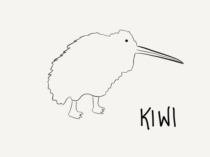 kiwi coloring