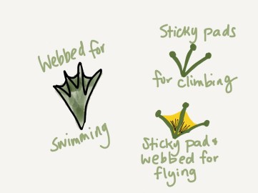 Frogs have different kinds of feet to help them adapt to their habitats!