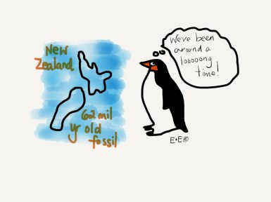 The oldest penguin fossil was found in New Zealand. It was 62 million years old.