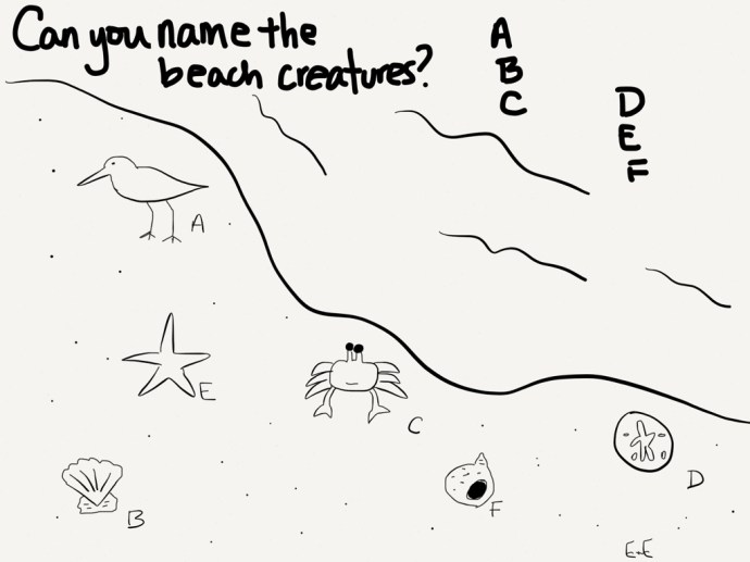 seashore coloring sheet