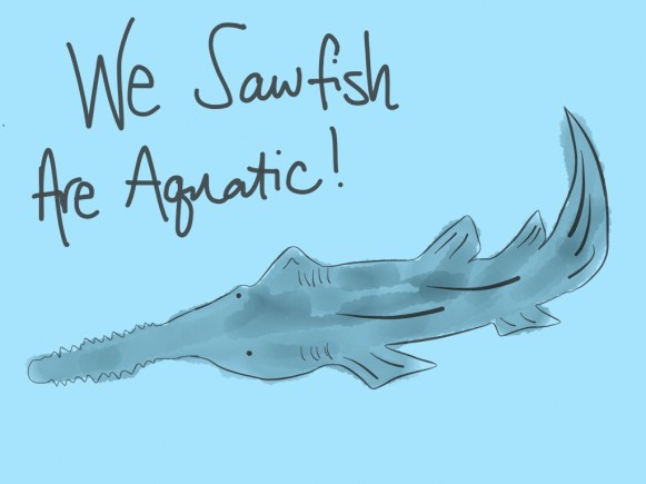 sawfish