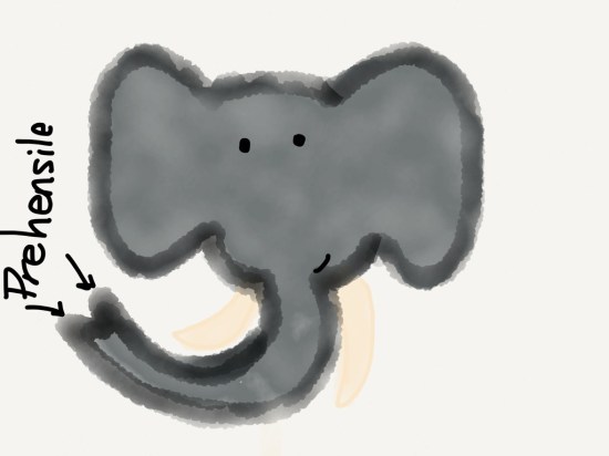 swow prehesile cartoon