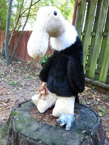 This is our pal Vinnie!