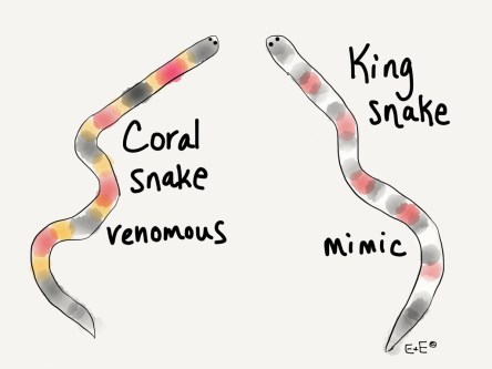 swow mimicry cartoon