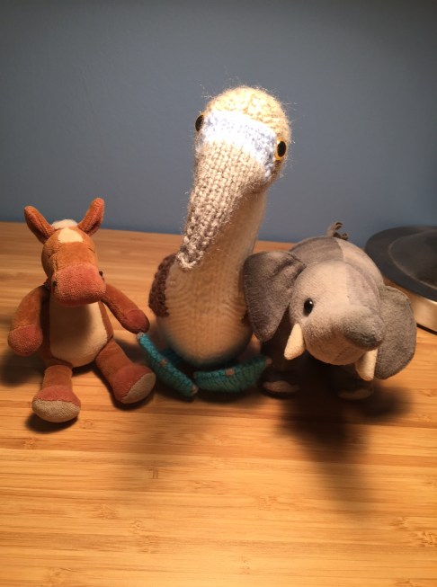 This our Blue Footed Booby pal! 