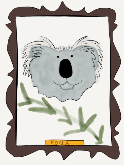 koala wearefanimaly