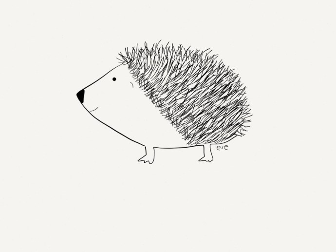 hedgie color