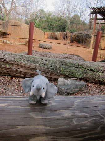 Visit your local zoo or aquarium and learn about their conservation programs!