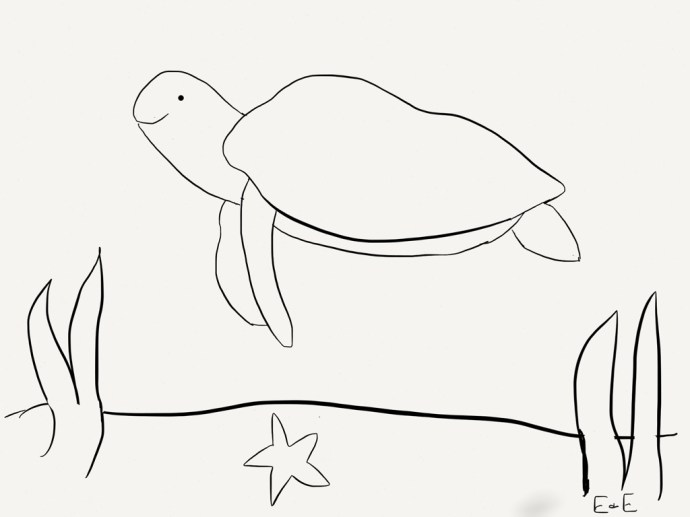 sea turtle coloring page