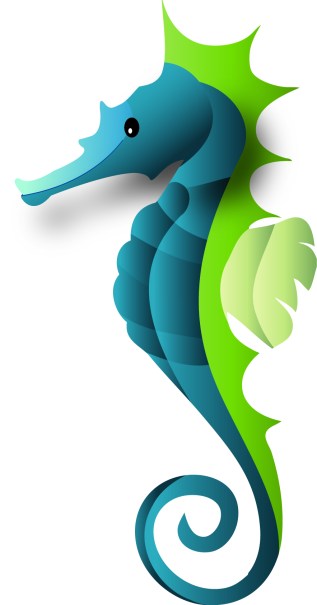 ellie_edmund_professors-seahorse(1)