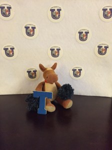 GIVE ME A T! T is for turn! Sloths can turn their heads 270 degrees, very much like owls!