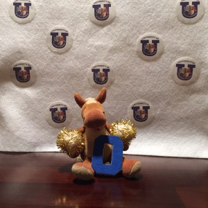 GIVE US AN O! O is for the oldest gorilla is in charge. Gorilla live in family groups where the oldest silverback male is in charge.