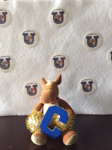 C is for Coconut! The largest terrestrial invertebrate is a hermit crab- the coconut crab!