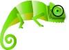 ellie_edmund_professors-chameleon(1)