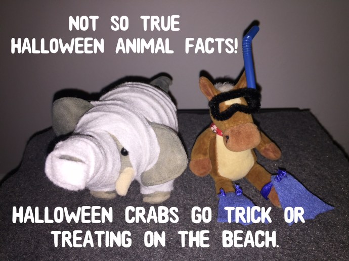 89A1670C-A798-4A5A-A163-08690D980CE8