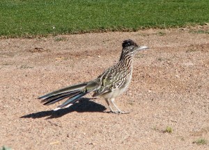 8A15DF21-A884-42D4-B84A-9ABE0C9B87FA