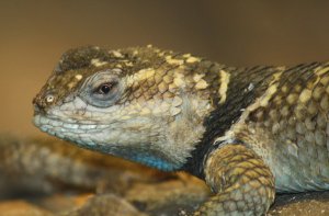 F1A2C0EC-BC17-47C0-B5E4-9C2B6D175CD6