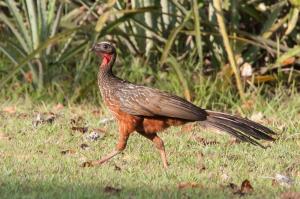 8A54CD86-B8E7-4FB5-B95D-1196EAC37637