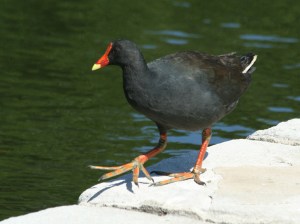 59F6E868-22A6-4250-8599-99E3DAACE257