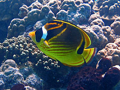 B0E55D71-9A77-4EFF-A7DB-326A6CAB640D