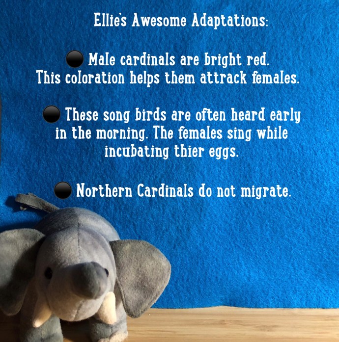 17BD2F23-BB35-4075-8964-90E55CA9A173