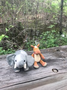 5361D6A8-53F6-4FEB-AB98-52CCB6D18516