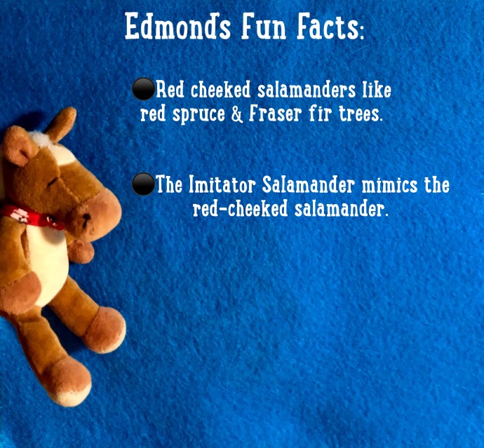 853FC5D0-91EF-4574-9787-F530F0D8EDF9