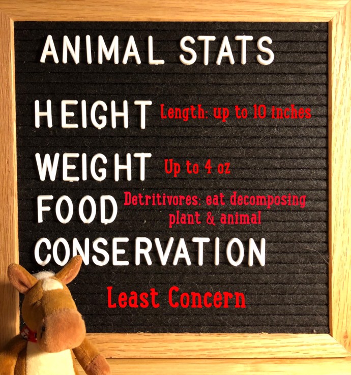 8F17F572-C072-4E96-AE45-A9BC787CC2AB