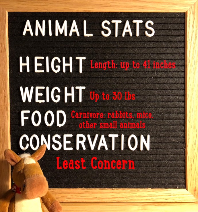 BDC8C92E-B38D-4B17-B95E-5731B9DDCB1B