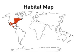 E645FBB7-02F9-4F37-BAA2-FF4B16416237