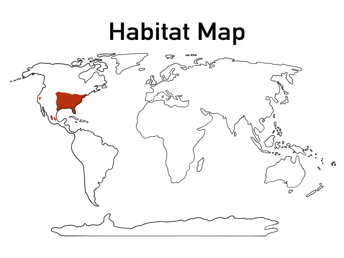 EAC26F4C-2A0D-4A10-8DD5-FDD3E774256B