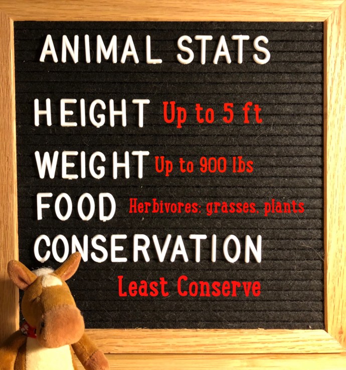 28AA21F2-C75F-47B2-A83F-6E97FB1A1919