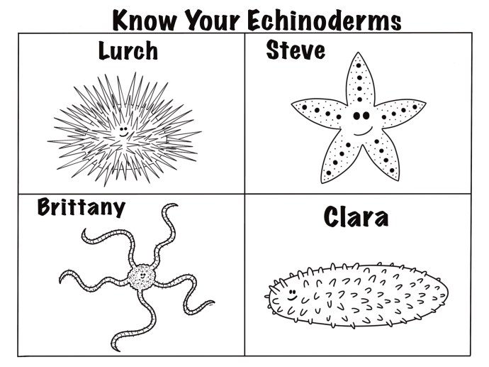 CB62F432-51CF-4AF6-971D-028E41135961