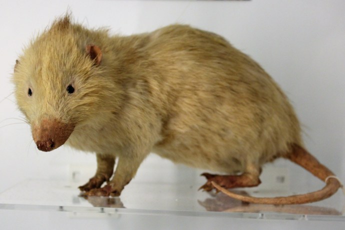 04C9D5D0-93E5-4B47-A46D-ECCD6BF96C26